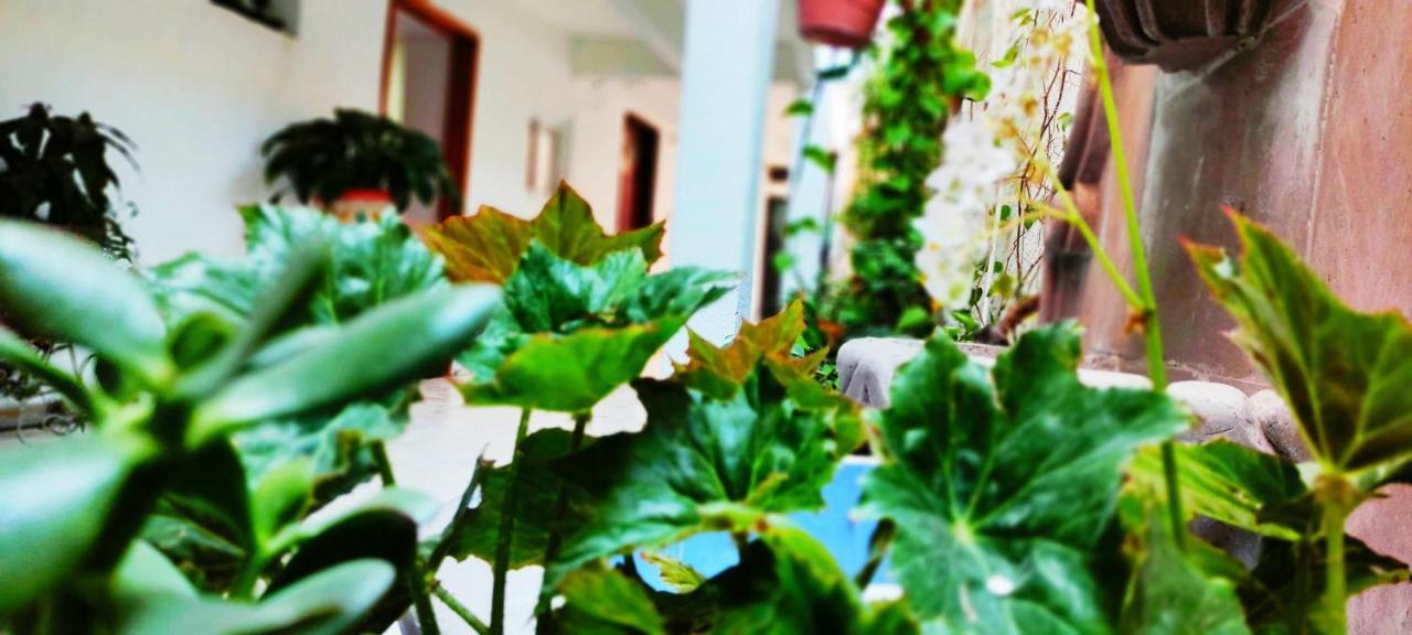 Hotel Posada Laura 산후안델리오 외부 사진