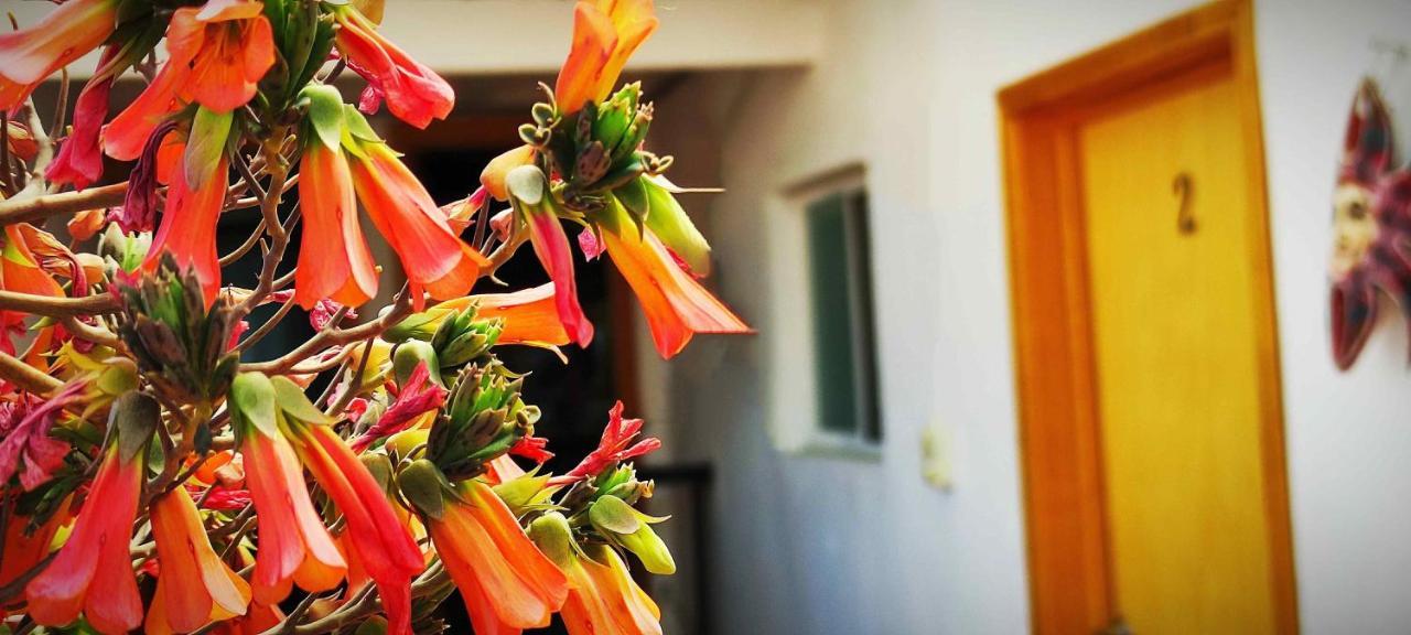 Hotel Posada Laura 산후안델리오 외부 사진